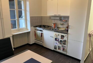 Charmant appartement 3 pièces à Carouge