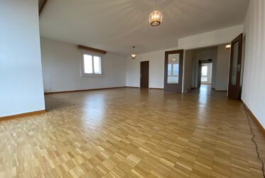 Exclusivité – Appartement rénové de 4 chambres, 177 m² PPE, vue panoramique (Meyrin)