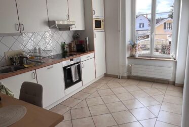 Charmant appartement 3 pièces au Petit-Lancy