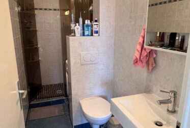 Charmant appartement 3 pièces au Petit-Lancy