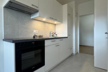 Appartement 3,5 pièces meublé