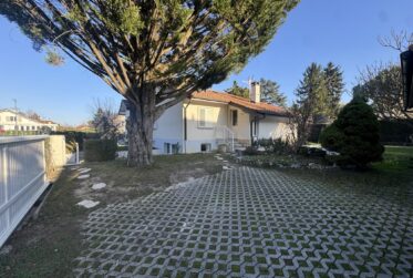 7.5 Rooms House, Individual house