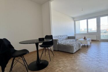 Appartement 3,5 pièces meublé