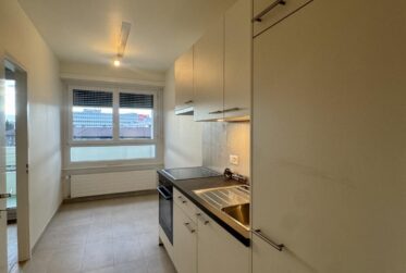 Appartement 3,5 pièces meublé