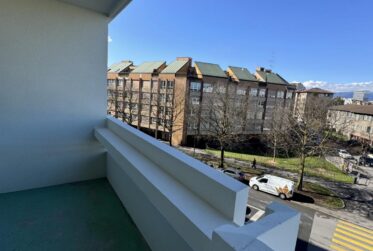 Appartement 3,5 pièces meublé