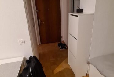 Charmant Studio avec balcon à Onex
