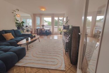 Spacieux appartement à proximité des organisations internationales