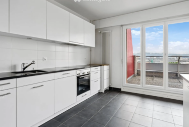 Grand duplex de 6 pièces avec vue panoramique à Onex