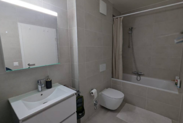 Appartement 3 pièces 60m2 situé Grand Lancy