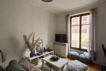Grand appartement 2 pièces meublé