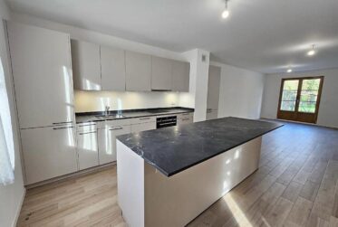 Maison mitoyenne à Croix-de-Rozon de 170m2