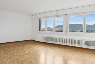 Grand duplex de 6 pièces avec vue panoramique à Onex