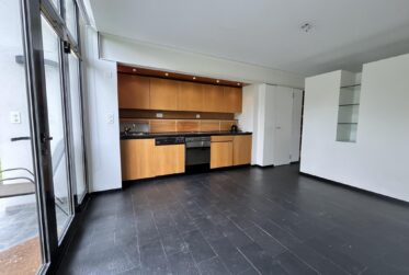 Maison d'architecte - Pregny-Chambésy