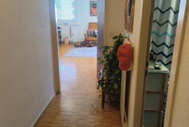 Appartement 2 pièces à la Servette