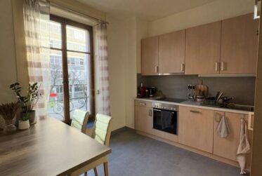 Grand appartement 2 pièces meublé