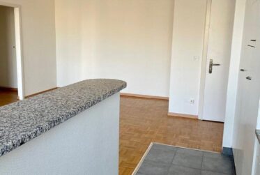 Appartement 2,5 pièces à Vernier