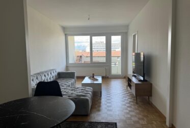 À louer – 3,5 pièces meublé (option) à Carouge