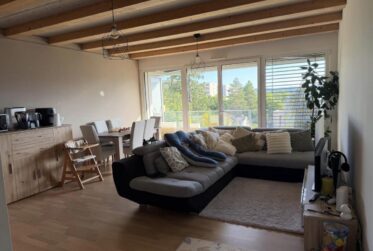 Appartement 3,5 pièces récent à Meyrin