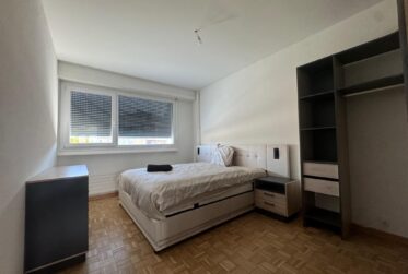 À louer – 3,5 pièces meublé (option) à Carouge