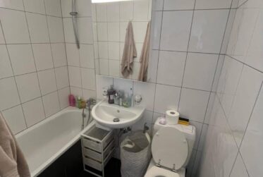 Magnifique appartement 1,5 pièces proche du lac