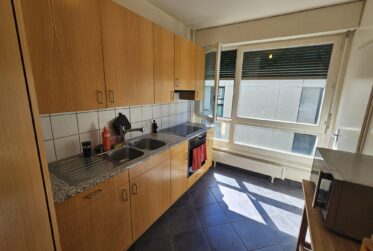 Charmant appartement 3,5 pièces au cœur de Genève