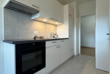 À louer – 3,5 pièces meublé (option) à Carouge