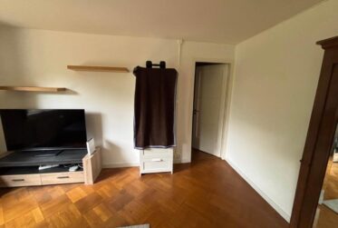 EXCLUSIVITE - Jolie 3 pièces à Chêne-Bourg