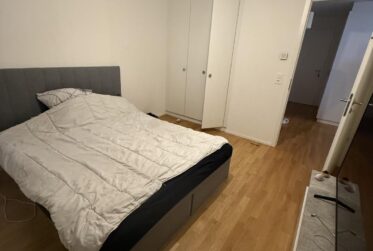 3 pièce lumineux avec parking à Bellevue - Exclusivité
