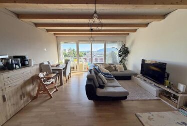 Appartement 3,5 pièces récent à Meyrin
