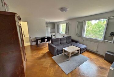 EXCLUSIVITE - Jolie 3 pièces à Chêne-Bourg