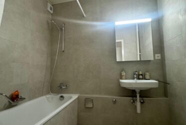 À louer – 3,5 pièces meublé (option) à Carouge