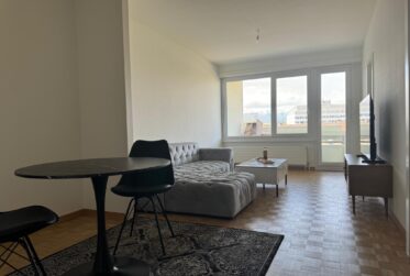 À louer – 3,5 pièces meublé (option) à Carouge