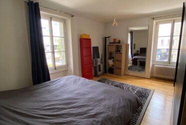 Charmant 3.5 pièces au coeur de Carouge