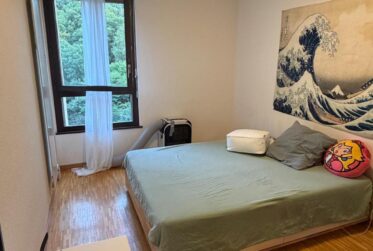 EXCLUSIVITÉ - Appartement 4 pièces situé dans le quartier de Carouge.