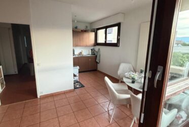 EXCLUSIVITÉ - Appartement 4 pièces situé dans le quartier de Carouge.