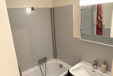 Appartement 4 pièces à Châtelaine